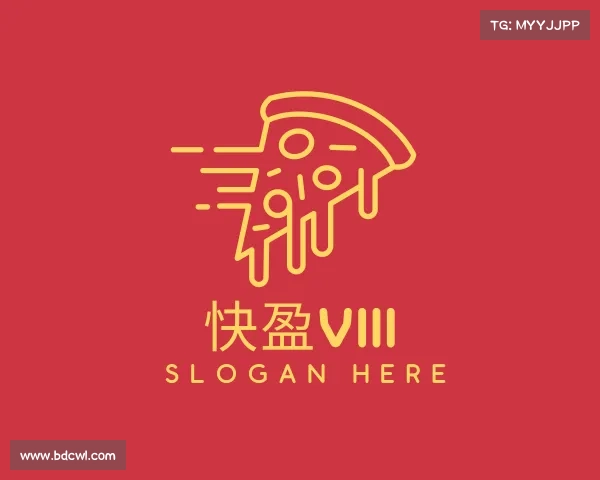 介绍快盈VIII